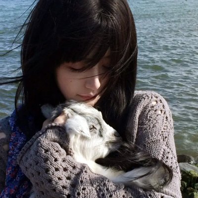 东陵大盗（四）